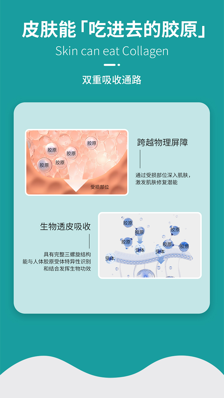 膠原貼敷料_03.jpg